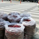 영천장날 이미지