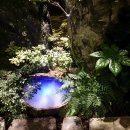 들꽃사랑 이미지