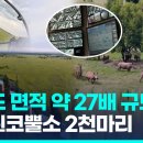 코뿔소농장 이미지