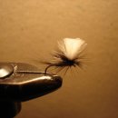 Parachute Dry fly 이미지