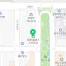 봉우리다옴메디월요가