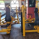 유코치의 바디스토리PT 이미지