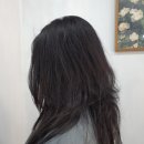 보경헤어 - 오산시 | 보경헤어
