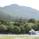 나절로미술관 이미지