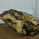 금두꺼비 이미지