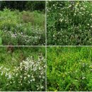 (주)호가 이미지