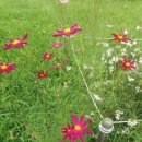 하늘세탁 이미지