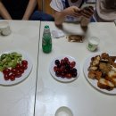 성용목장 Daum카페