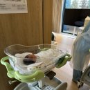 강서로47길 | [육아 일기] 미즈메디 병원 앞 디어원 산후조리원 후기