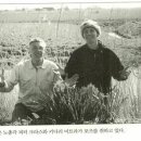 한국 유기농 농사꾼 휴머니버시티에 대한 경험담 이미지