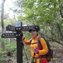 2012년5월12,13일 낙남정맥 5구간 계리재-무선산-봉대산-양전산-부련이재 .18.5km/7시간 이미지