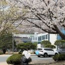 아가방플렉스유성NC | 아기 모자 추천 / 유성 nc 아가방 플렉스 / 아기 여름 모자