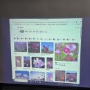 실내체육관골프연습장 이미지