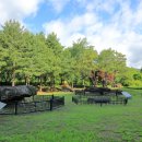 고대리 지석묘군 이미지