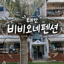 비비오네 네이버블로그