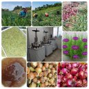 소망건강원 이미지