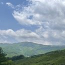 메밀꽃필무렵 이미지