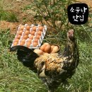 소문난 맛집 - 구리시 | 소문난 맛집