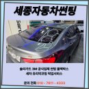 세종썬팅365카틴트솔라가드세종장군점