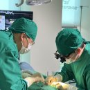 정플란트치과의원 | [뉴스리포트 우수의료인]정용태 아산정플란트치과의원 대표원장, 고난도 임플란트 분야의 스페셜리스트