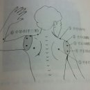 목,어깨통증 한방학적 관점 평가에 따른 도수메뉴얼 공개 강좌(부산) 이미지