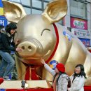 황금돼지 이미지