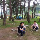 마리장풍숲 이미지