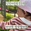 12 | 인천대공원 동물원 후기 (12개월 아기랑 다녀온 나들이,유모차 가능)