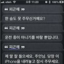 시리나