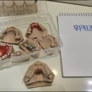 쥬니어치과의원 네이버블로그