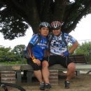 대안3리마을회관 이미지