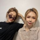 싹쓸이(금촌) 네이버블로그