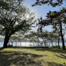 소죽도 찜질방 이미지