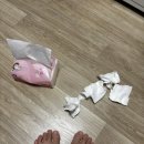 물고기의눈물이호수로 | 안양 에버포레… 누가 3억만 땡겨준다면