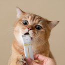 냥냥펀치 이미지