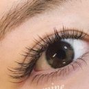 상남동298 이미지