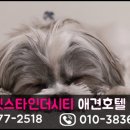 스타인호텔 이미지