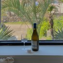 삼일삼오 이미지