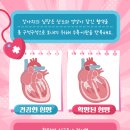 차동물병원 이미지