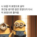 더바이글