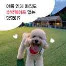 따따봉할인마켓 이미지
