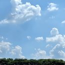 선무태권도 이미지