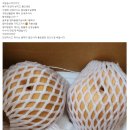 나주배 인기!! 짱~ 4키로 13,500원 이미지