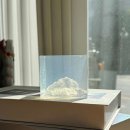 벨하이솝 이미지