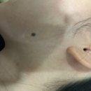 깊은숲한의원 이미지