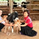 동림목장 이미지