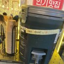 호야채