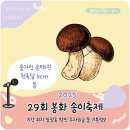 봉화내성시장 | 2025 봉화 송이축제 기본정보 기간 위치 주차 송가인