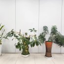 LG전자 제천서비스 센터 이미지