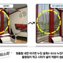 다비치안경 이미지